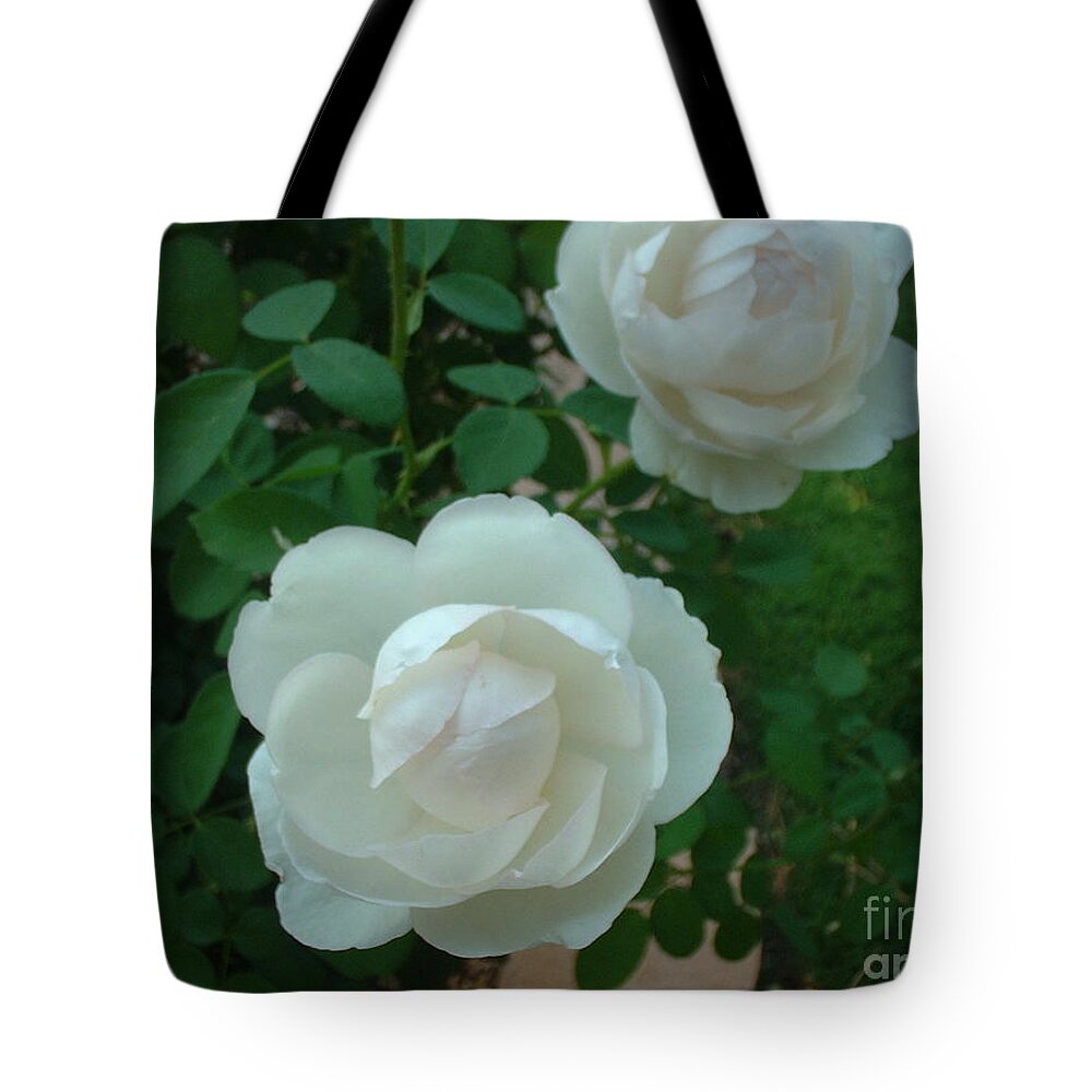 Rose Tote Bag featuring the photograph Perfect Pair by Mark Robbins