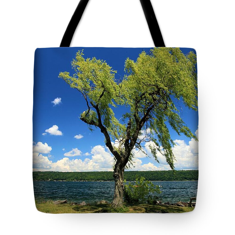 Taughannock Falls State Park Tote Bag featuring the photograph Perfect Picnic Spot by Adam Jewell