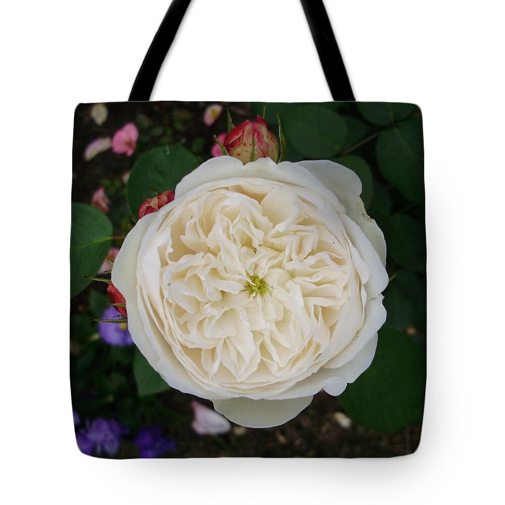 Roses Tote Bag featuring the photograph Perfect Symmetry by Anjel B Hartwell