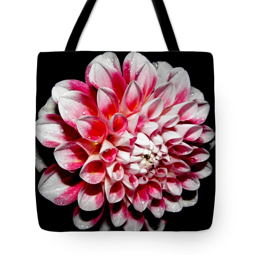 Pink Tote Bag featuring the photograph Perfection In Pink by Kim Galluzzo Wozniak