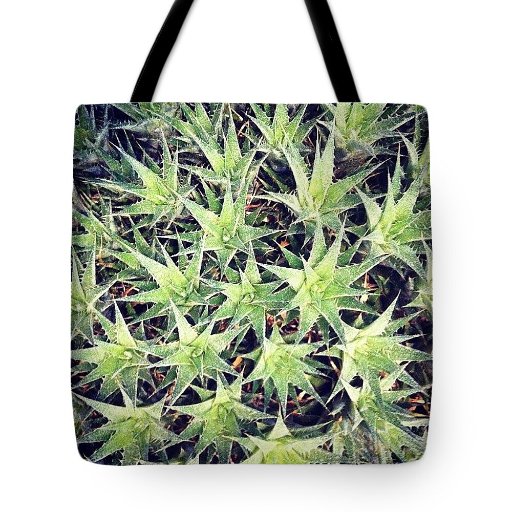 Flower Tote Bag featuring the photograph Philadelphia Flower Show by Katie Cupcakes