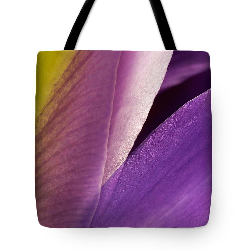 Flowers Tote Bag featuring the photograph Photograph of a Dutch Iris by Perla Copernik