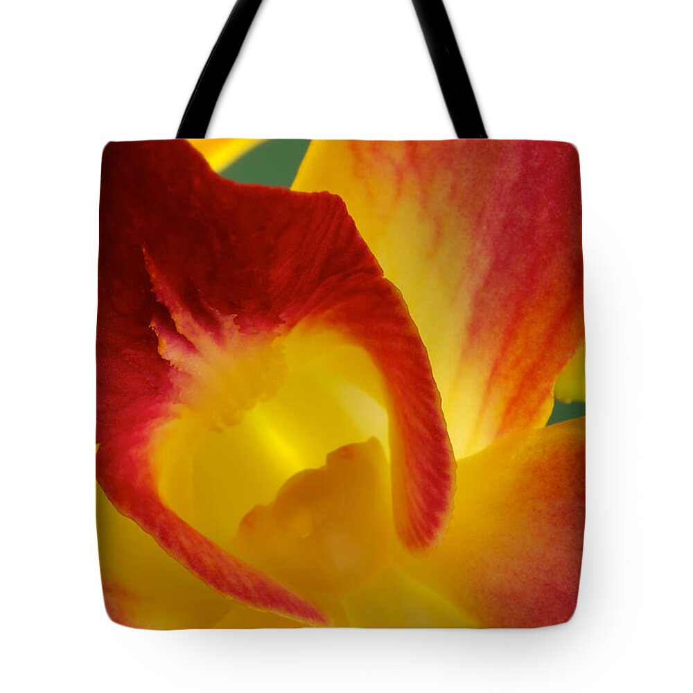 Dendrobium Tote Bag featuring the photograph Photograph of a Hope orchid Flower by Perla Copernik