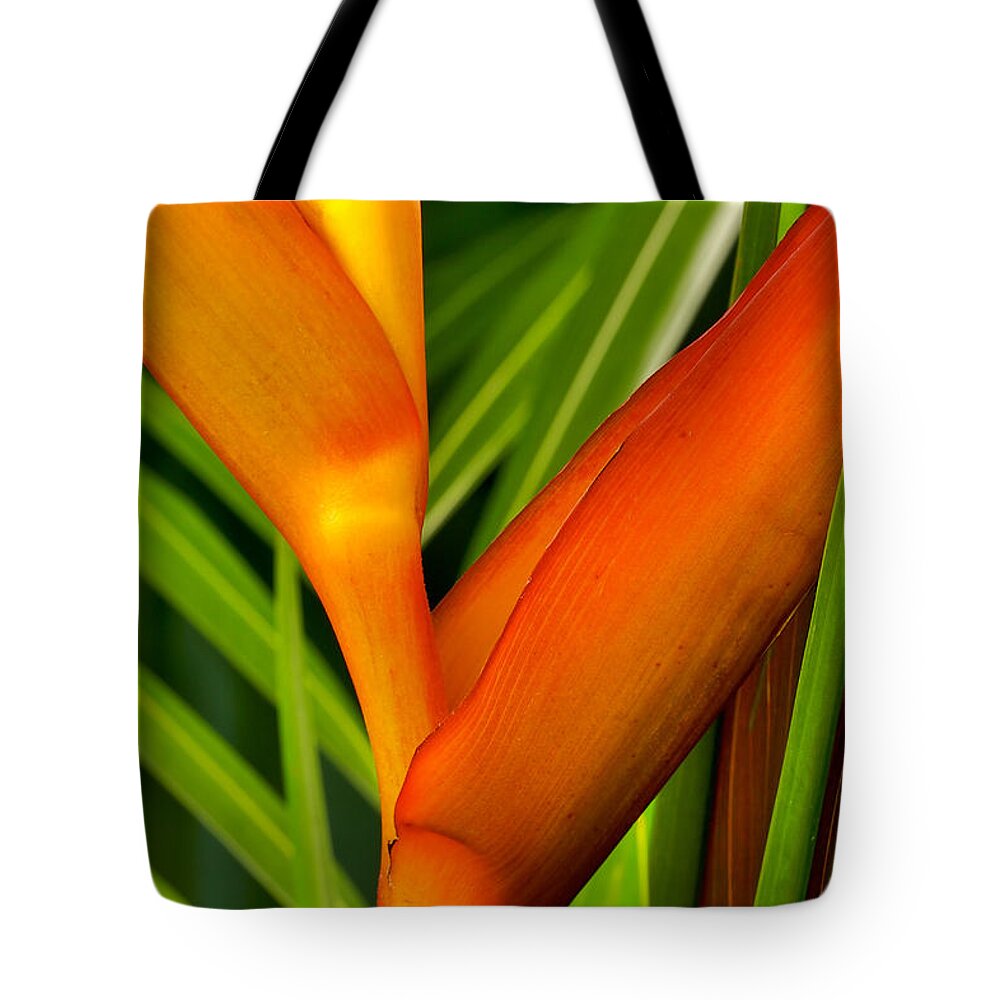 Flowers Tote Bag featuring the photograph Photograph of a Parrot Flower Heliconia by Perla Copernik