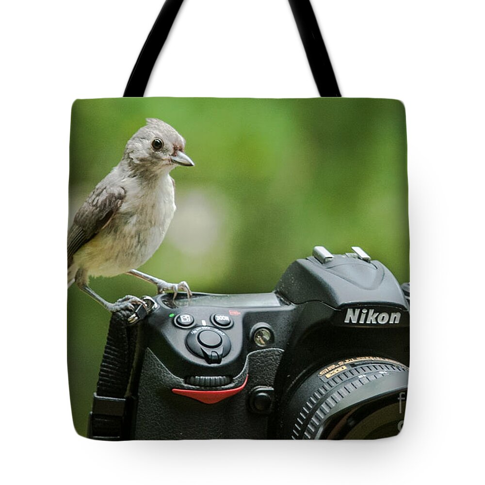 70-200 Tote Bag featuring the photograph Photographer's Little Helper by Jim Moore
