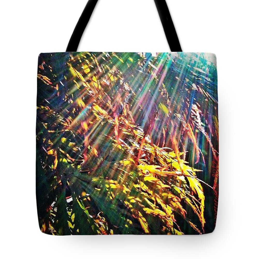 Instatrees Tote Bag featuring the photograph #picframe #snapseed #chinese_elm by Anna Porter
