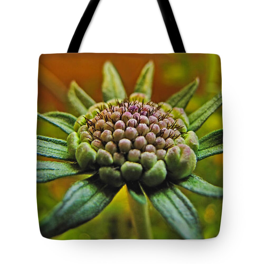Flowers Tote Bag featuring the photograph Pinchshin bud by Debbie Portwood