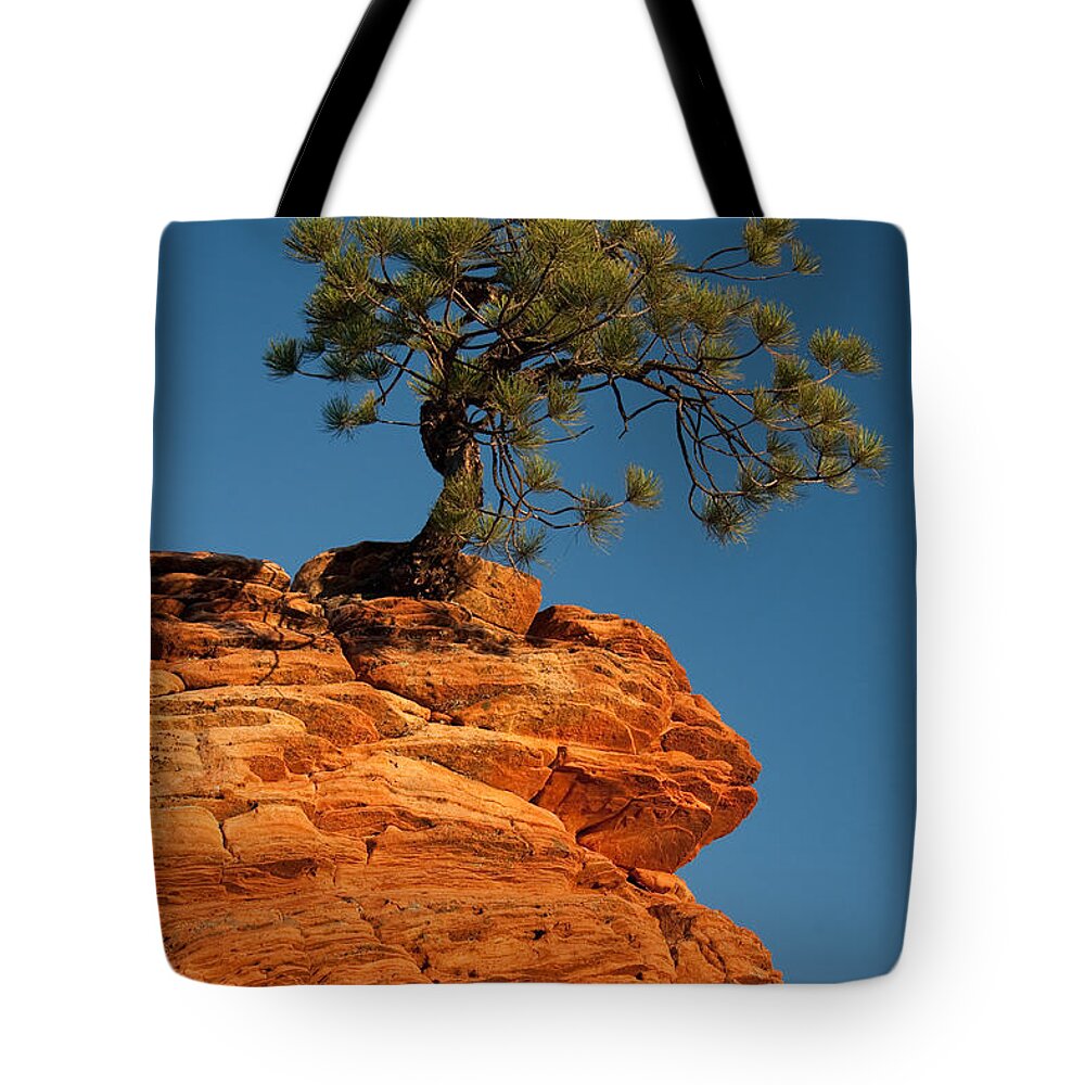 Pine Tote Bag featuring the photograph Pine On Rock by Ralf Kaiser