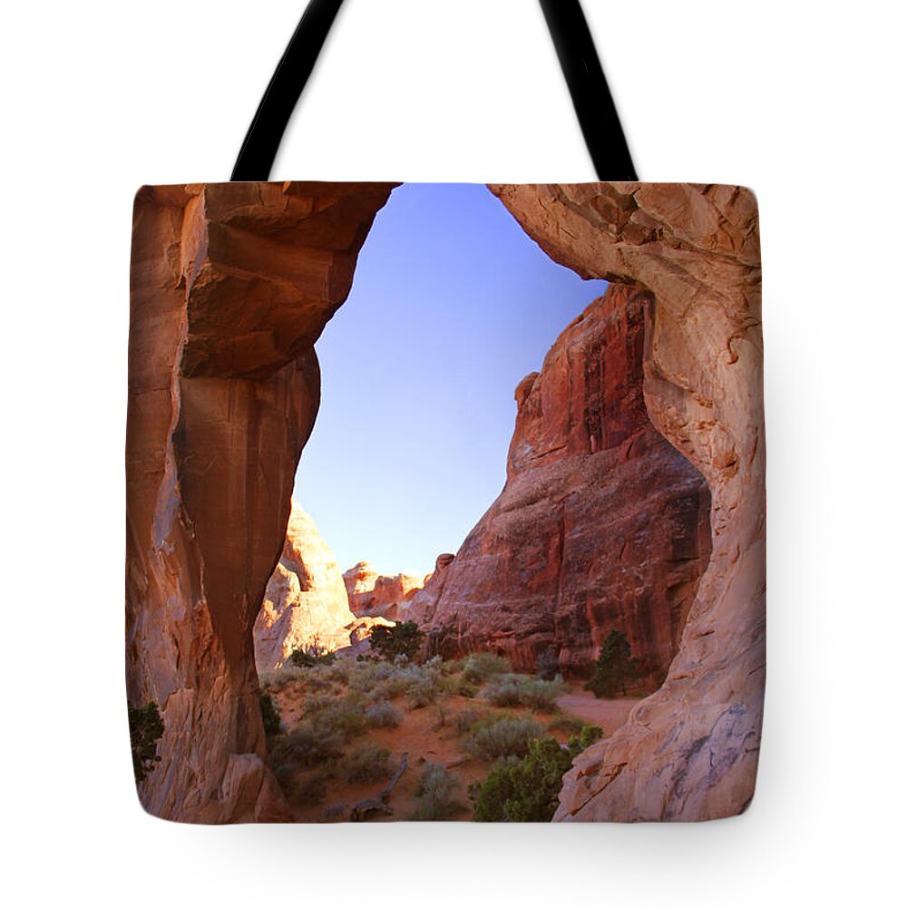 Pine Tree Arch Tote Bag featuring the photograph Pine Tree Arch by Mike McGlothlen