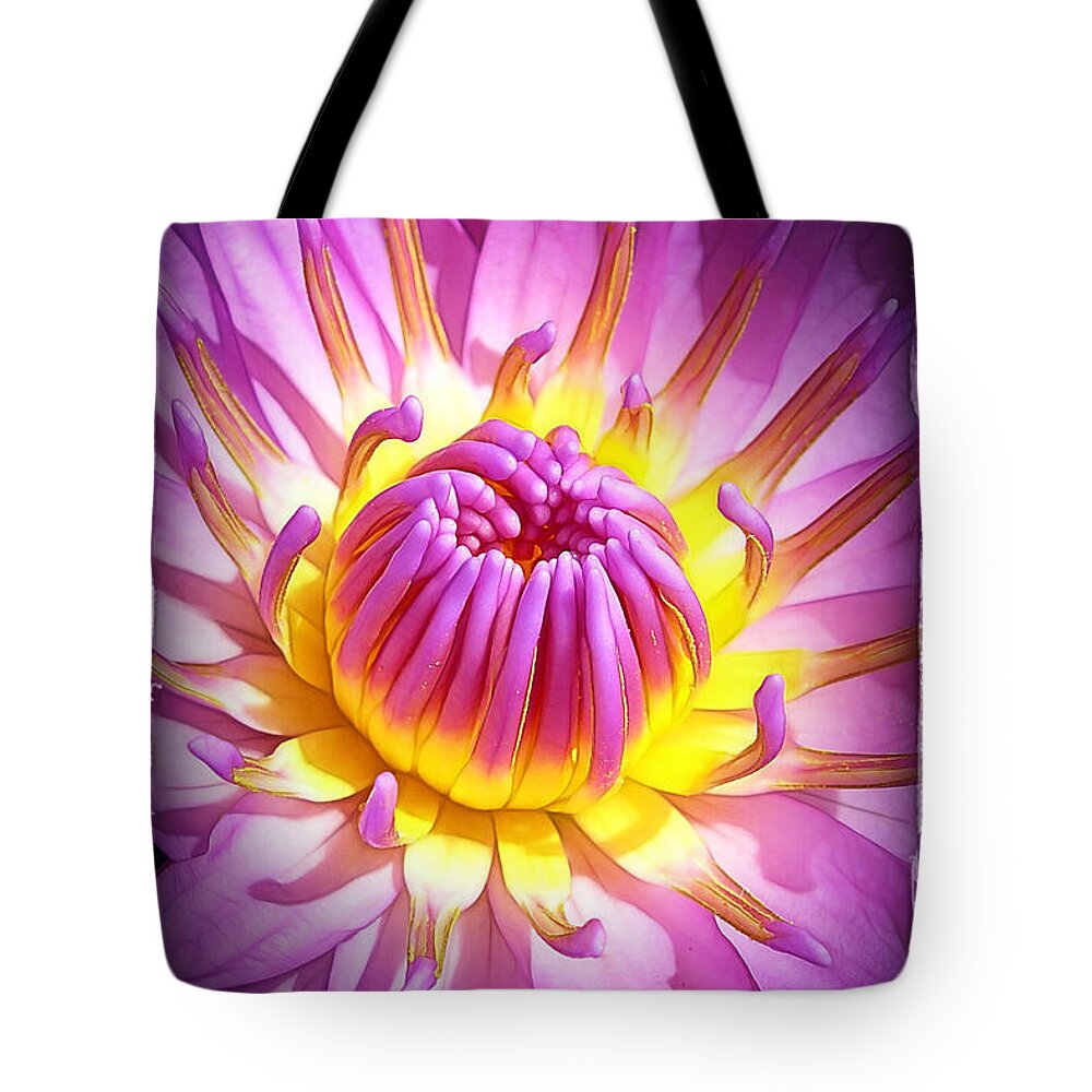 Water Tote Bag featuring the photograph Pink and Yellow Water Lily by Judi Bagwell