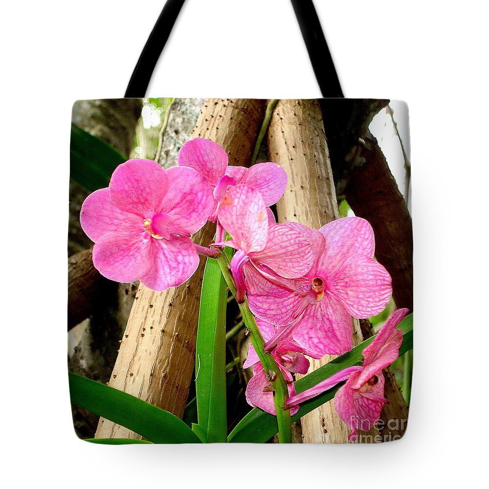 Orchids Tote Bag featuring the photograph Pink Hawaiian Orchid by Tatyana Searcy