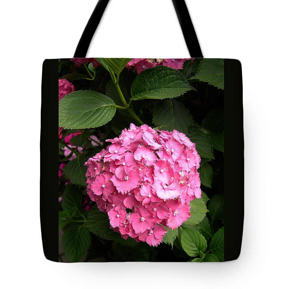 Pink Hydranga Tote Bag featuring the digital art Pink hydranga by Claude McCoy