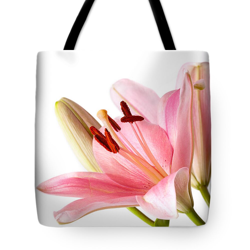 Lily Tote Bag featuring the photograph Pink Lilies 06 by Nailia Schwarz