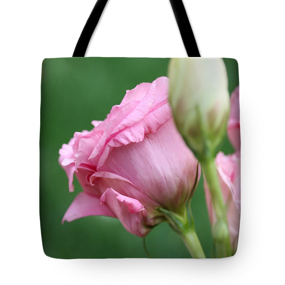 Lisianthus Tote Bag featuring the photograph Pink Lisianthus by Diana Haronis
