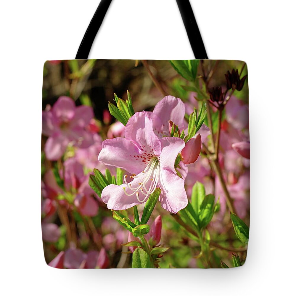 Magnolia Tote Bag featuring the photograph Pink Magnolia by Dariusz Gudowicz