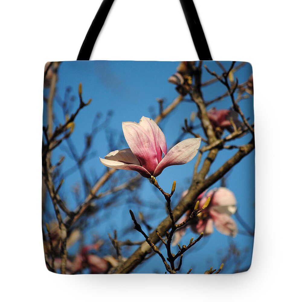 Flower Tote Bag featuring the photograph Pink Magnolia Flower by Jai Johnson
