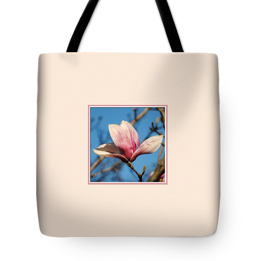 Flower Tote Bag featuring the photograph Pink Magnolia Photo Square by Jai Johnson