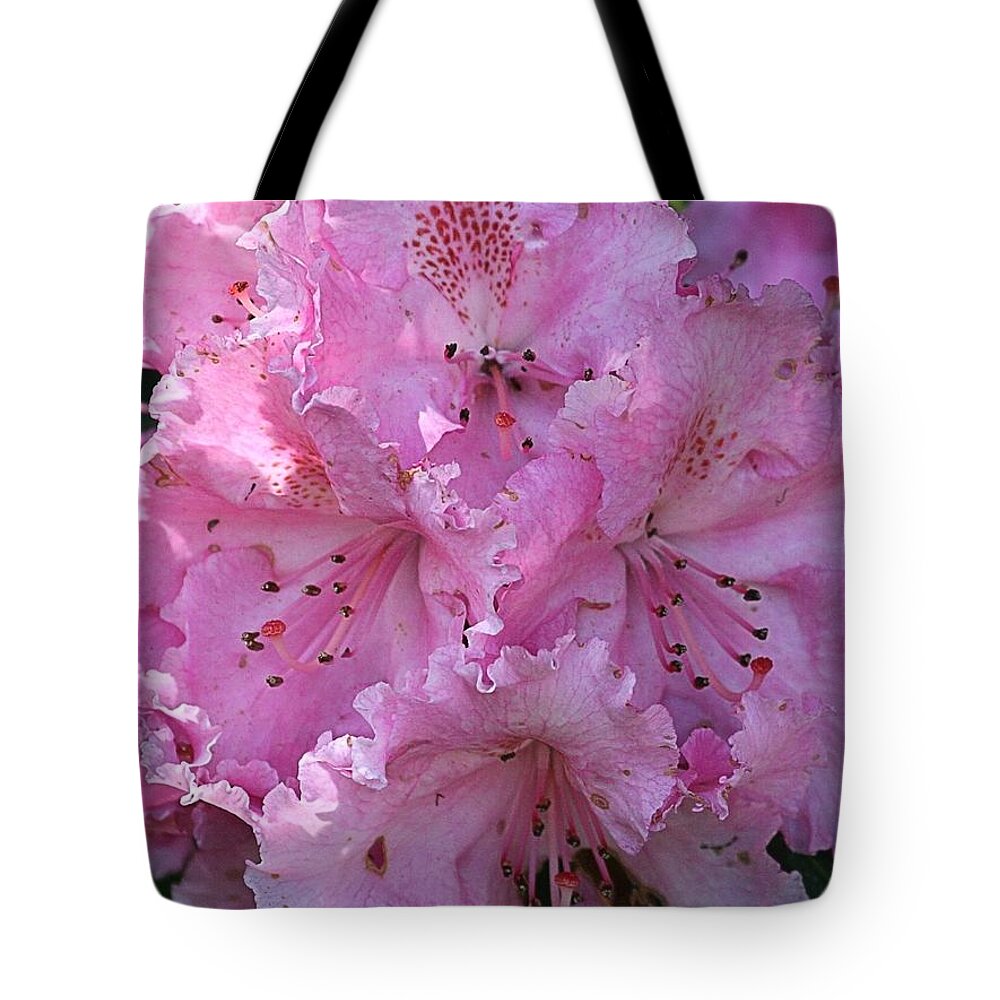 Rhodie Tote Bag featuring the photograph Pink Rhododendrons by Chriss Pagani
