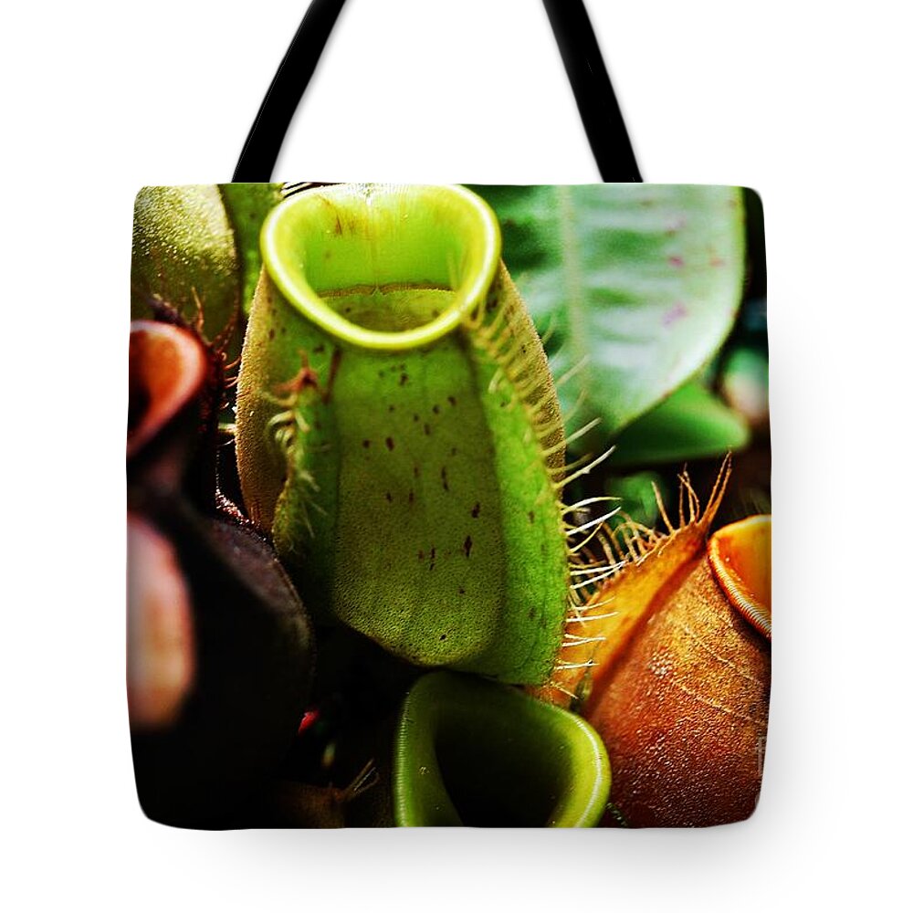 Pitcher Plant Cluster Tote Bag featuring the photograph Pitcher Plants by Angela Murray