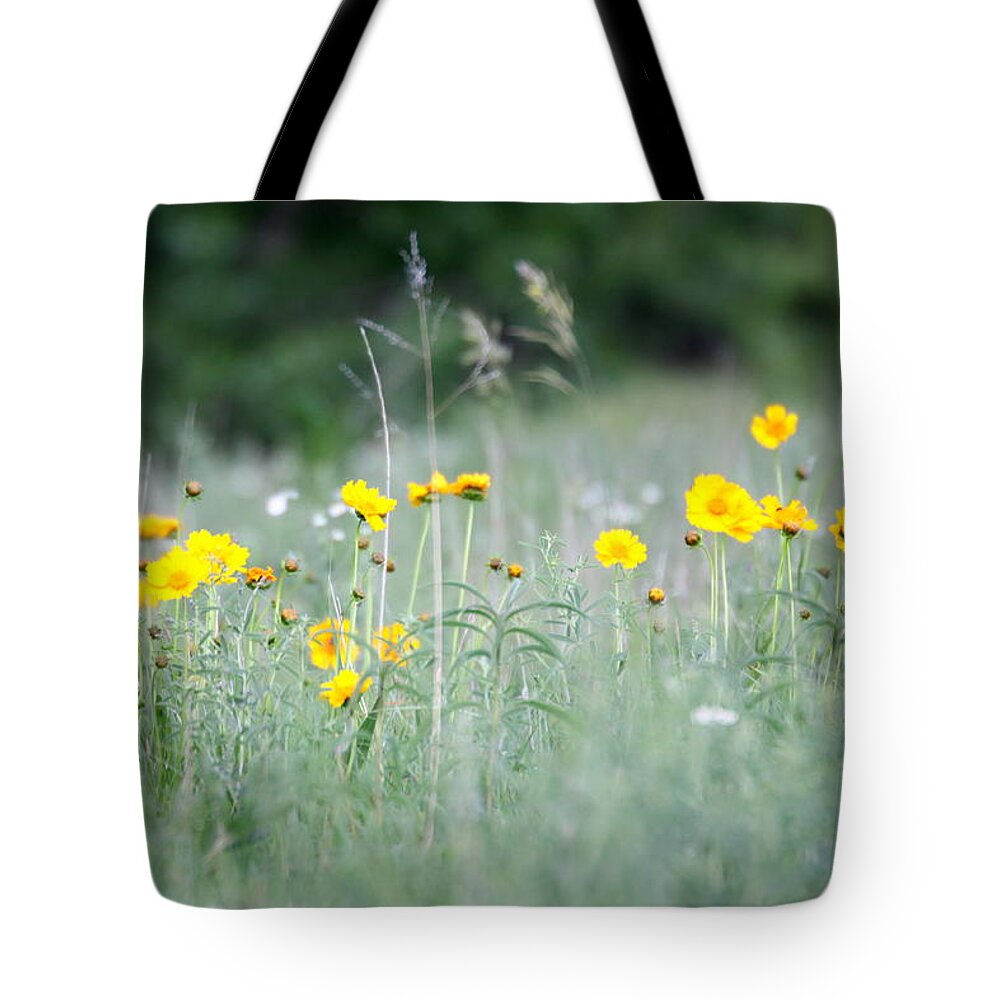 Yellow Tote Bag featuring the photograph Plains Yellow Daisy by Andrew Dyer Photography