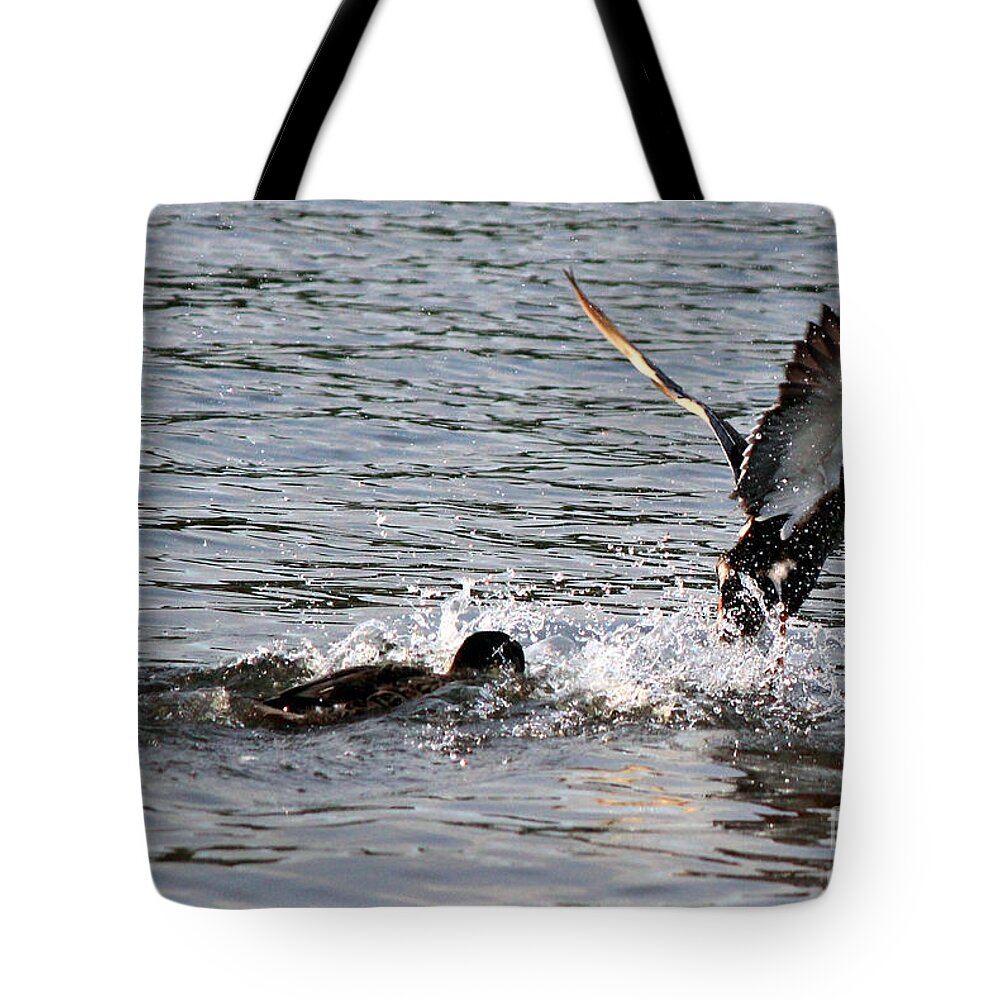 Ducks Tote Bag featuring the photograph Playing Chase by Kathy White