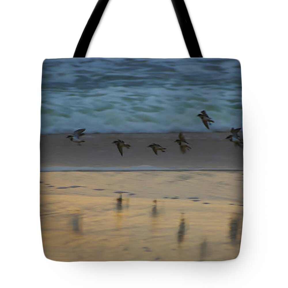 Phillip Island Tote Bag featuring the photograph Plovers at play on a stormy morning by Blair Stuart