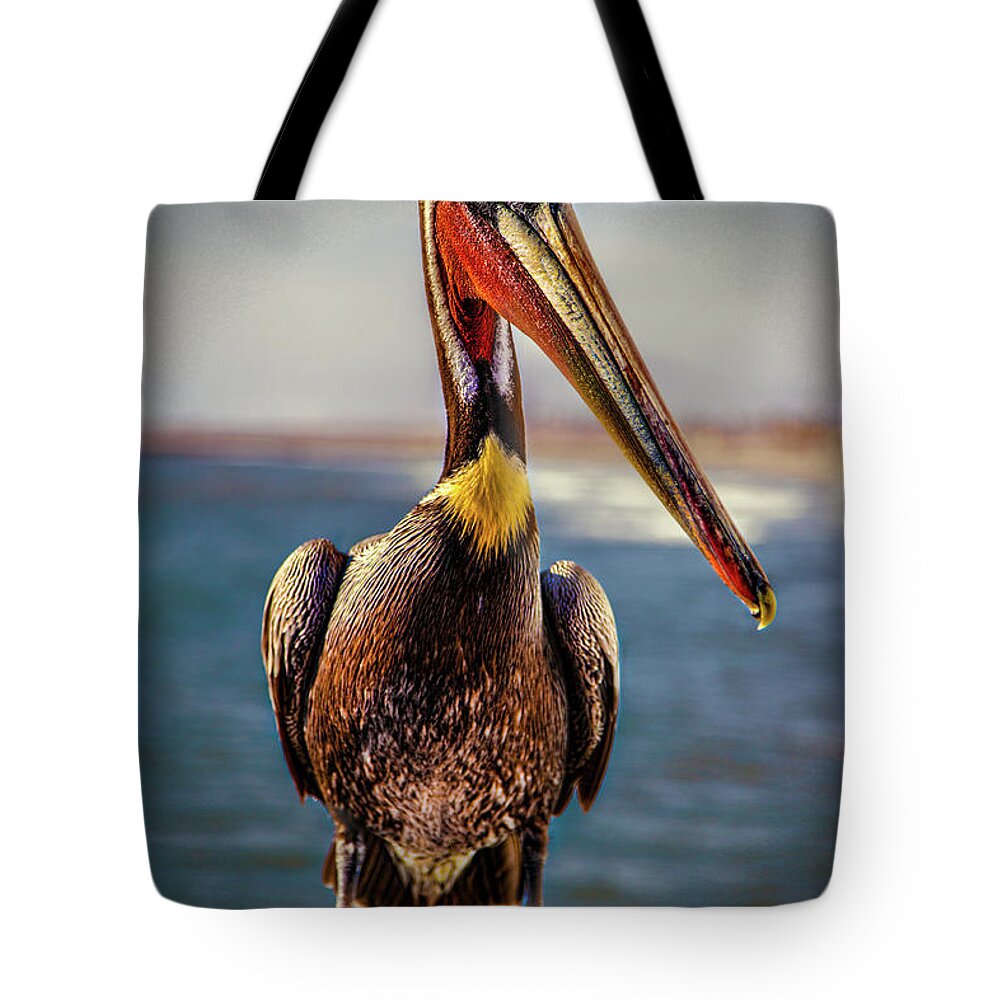 Pelican Tote Bag featuring the photograph Plump Peter Pelican's Pier Photo Pose by Chris Lord
