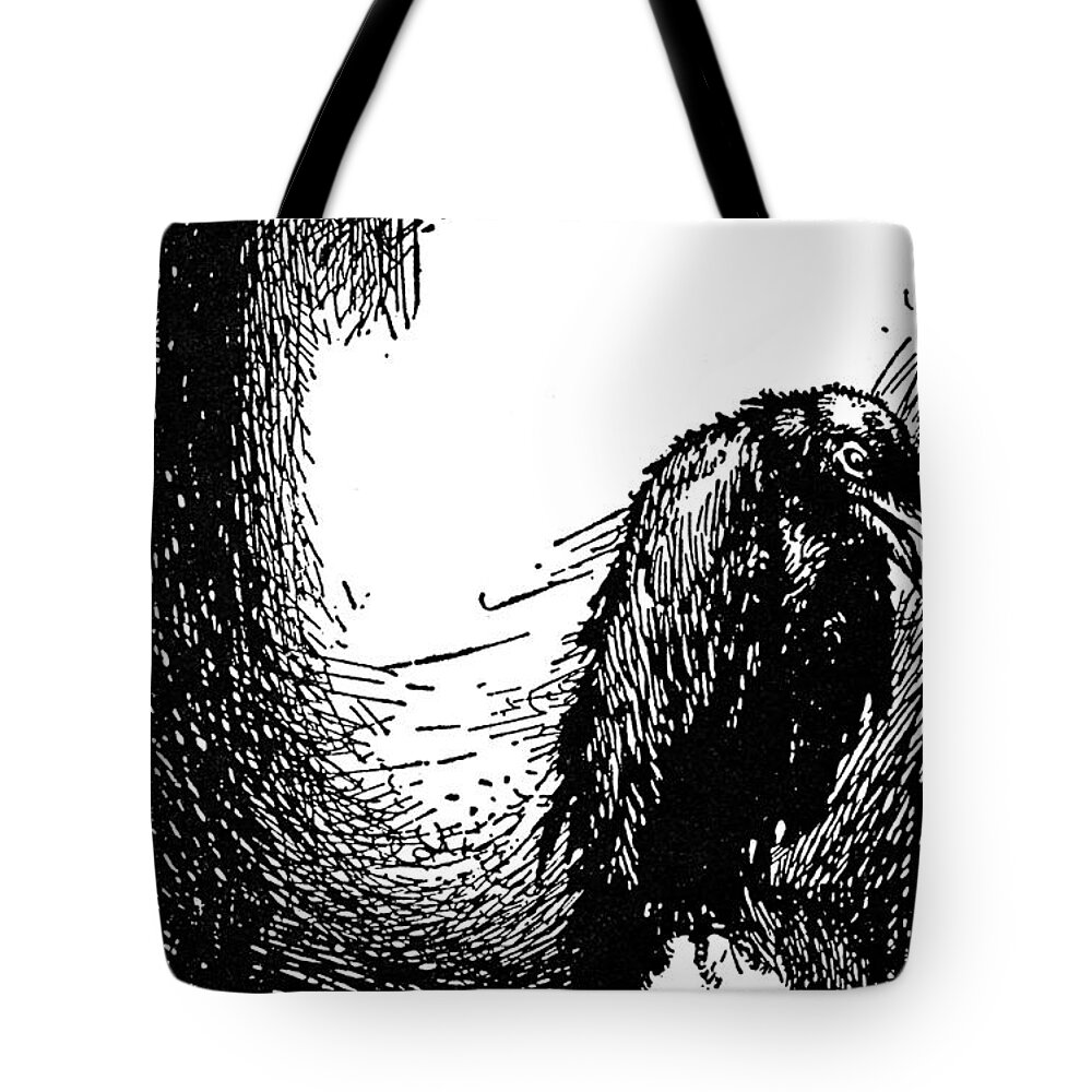 1845 Tote Bag featuring the photograph Poe: The Raven, 1845 by Granger