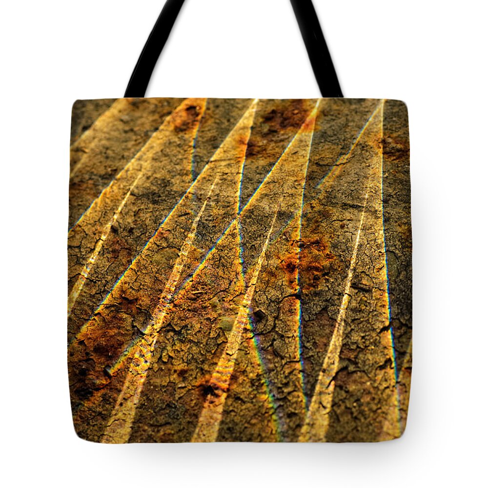 Abstract Tote Bag featuring the photograph Points of Light by Sue Capuano