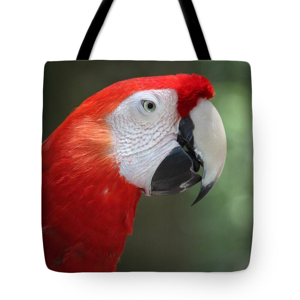 Polly Tote Bag featuring the photograph Polly by Patrick Witz