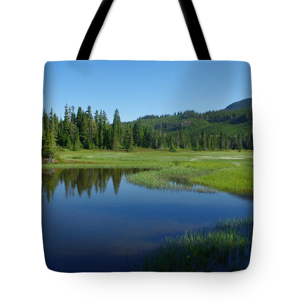 Pond Tote Bag featuring the photograph Pond Reflection by Marilyn Wilson