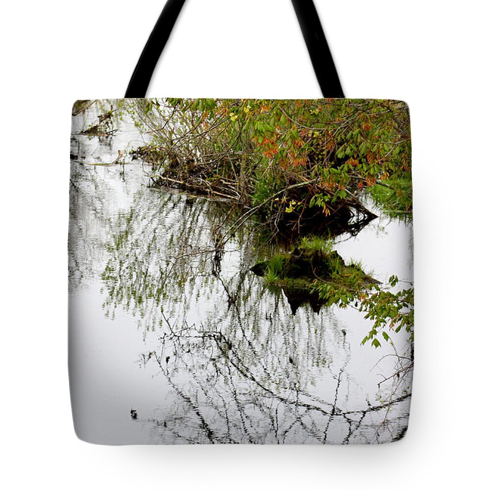 Color Photography Tote Bag featuring the photograph Pondscape by Kim Galluzzo