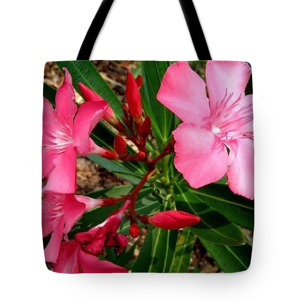 Pink Tote Bag featuring the photograph Popping Pink by Kim Galluzzo Wozniak