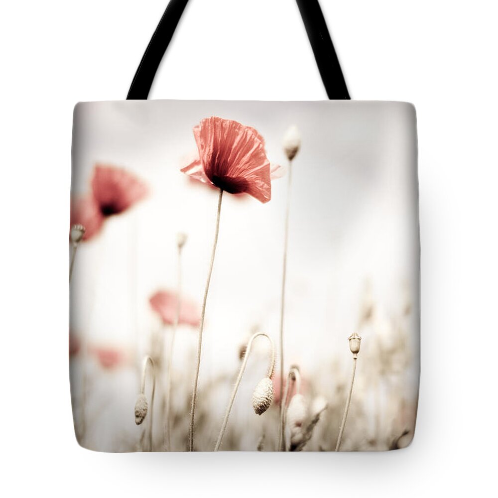 Poppy Tote Bag featuring the photograph Poppy Flowers 15 by Nailia Schwarz