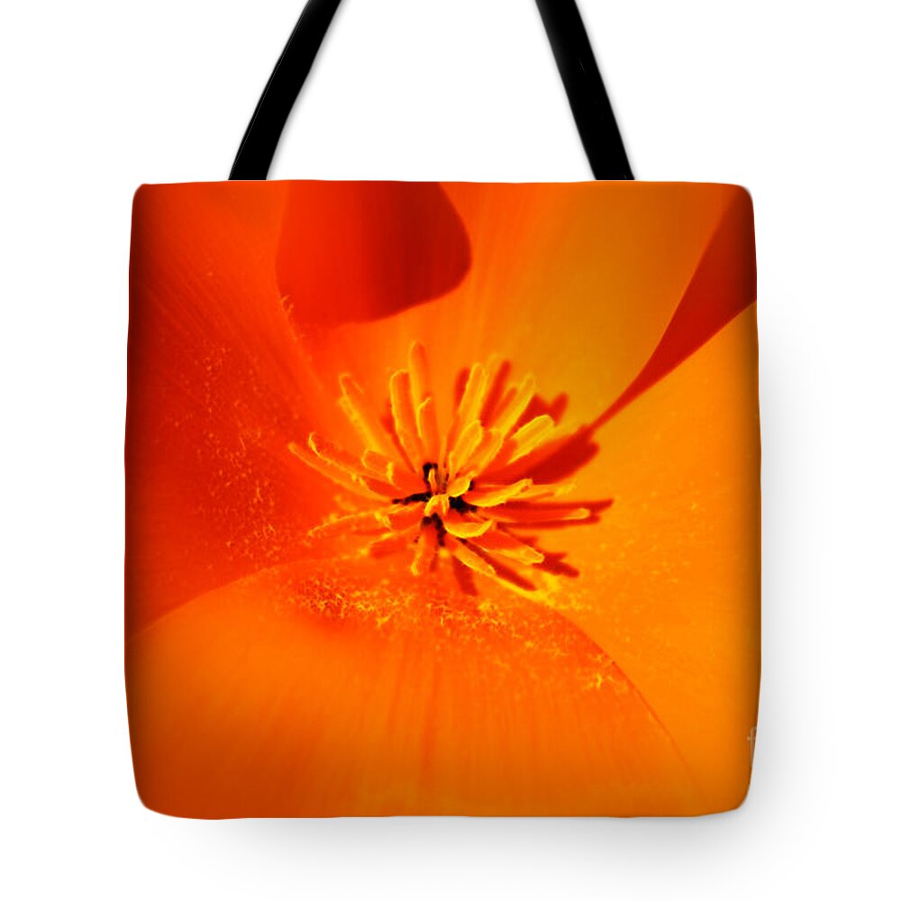 California Poppy Tote Bag featuring the photograph Pot of gold by Danuta Bennett