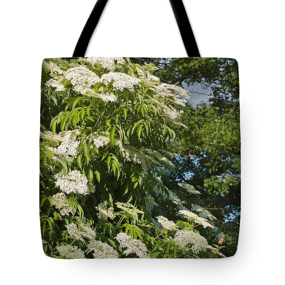 Flower Tote Bag featuring the photograph Potchen's Cascade by Joseph Yarbrough
