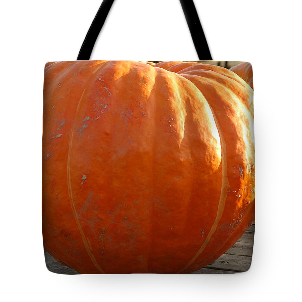 Food And Beverage Tote Bag featuring the photograph Pounds of Pumpkin Fun by LeeAnn McLaneGoetz McLaneGoetzStudioLLCcom