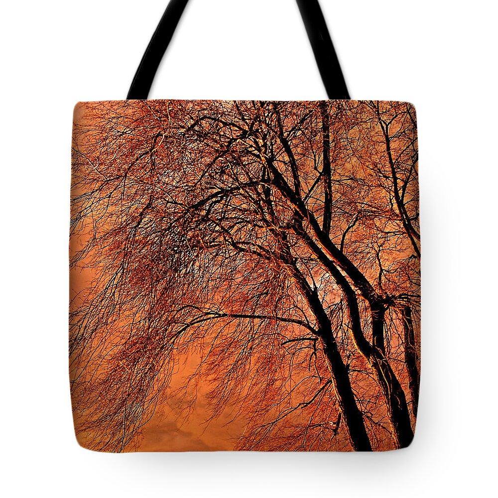 Canada Tote Bag featuring the photograph Powerful Morning ... by Juergen Weiss