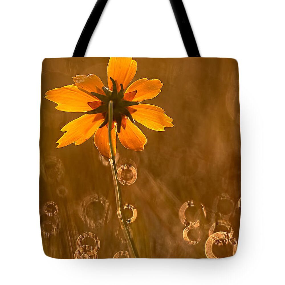 2012 Tote Bag featuring the photograph Prairie Coreopsis and Dewdrops by Robert Charity