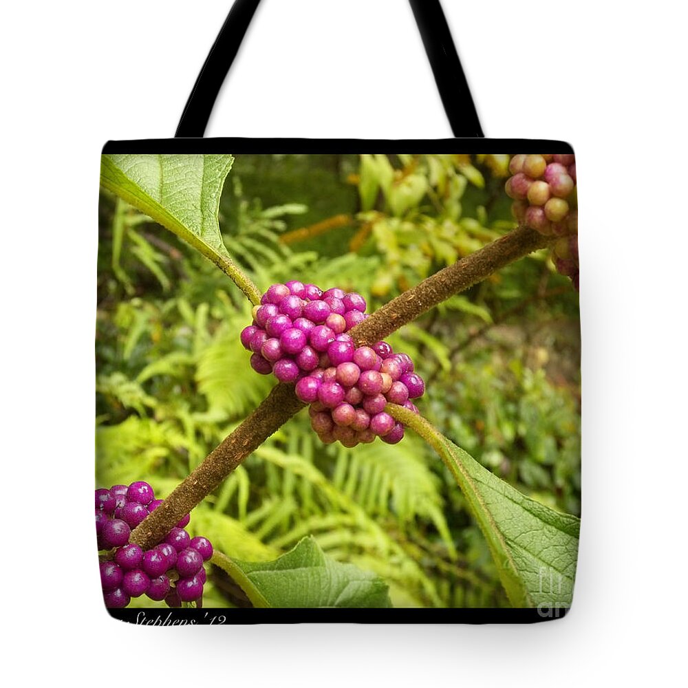 Ichetucknee Tote Bag featuring the photograph Pretty In Pink Berrys by Rebecca Stephens