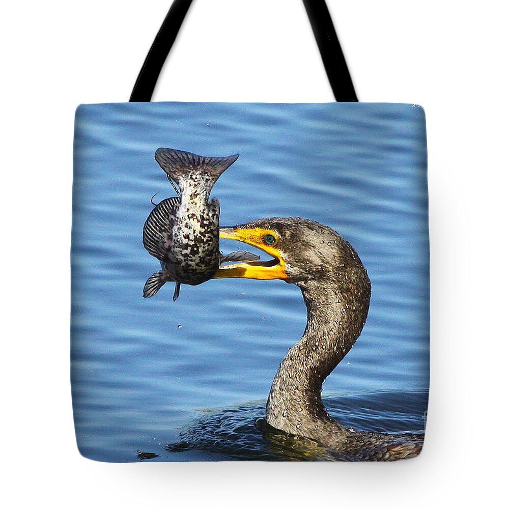 Double Crested Cormorant Tote Bag featuring the photograph Prized catch by Barbara Bowen