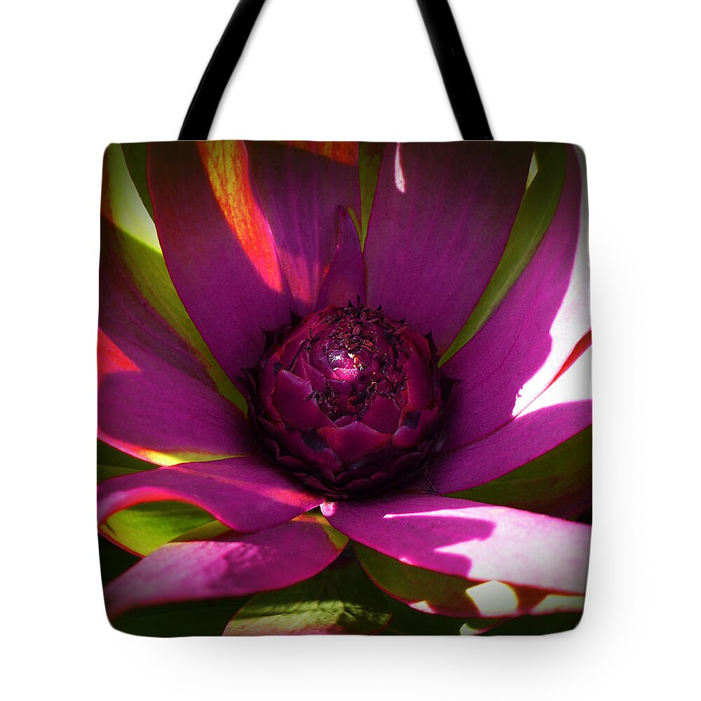 South Africa Tote Bag featuring the photograph Protea Flower 8 by Xueling Zou