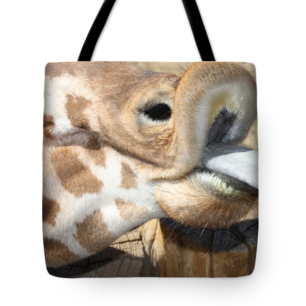 Giraffe Tote Bag featuring the photograph Pucker Up by Kim Galluzzo Wozniak