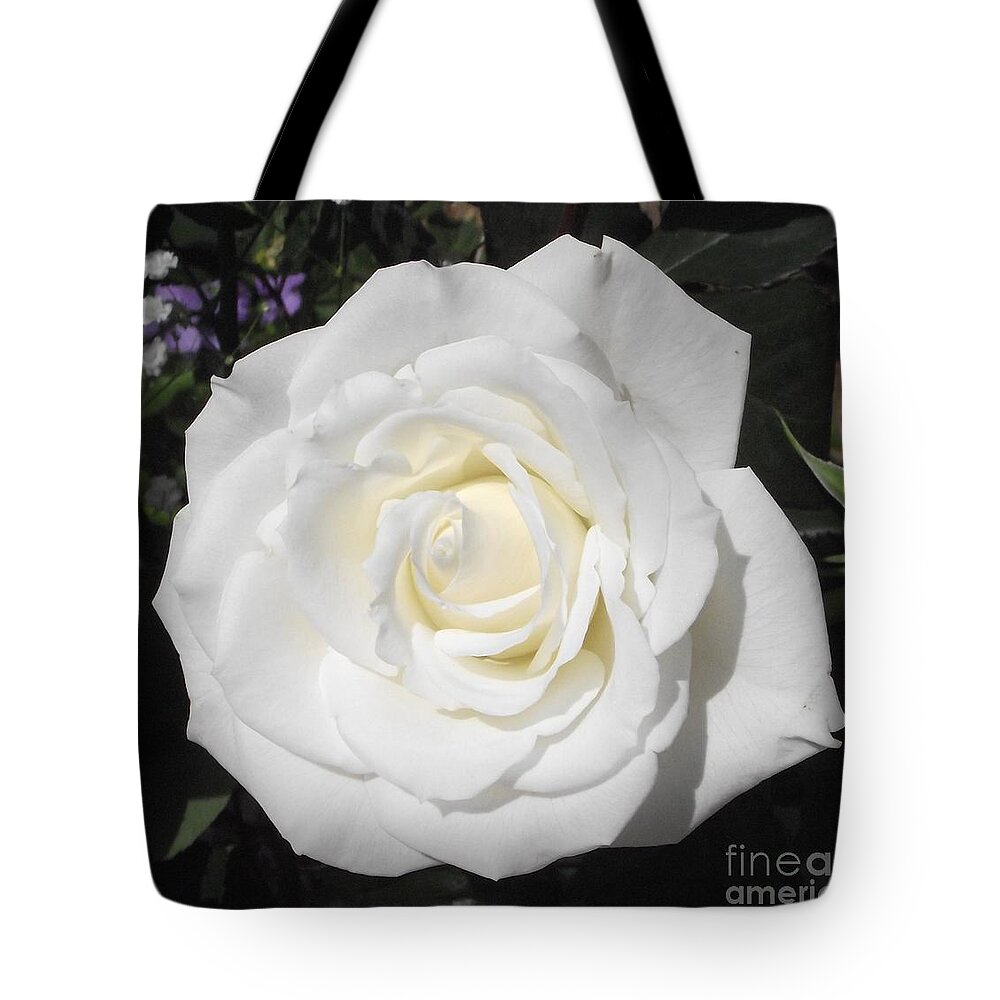 Rose Garden Tote Bag featuring the photograph Pure White Rose by Michelle Welles