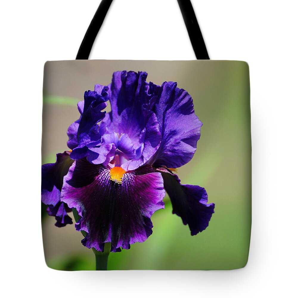 Beautiful Iris Tote Bag featuring the photograph Purple and Orange Iris 2 by Jai Johnson