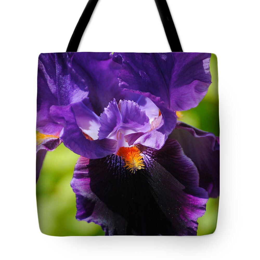 Beautiful Iris Tote Bag featuring the photograph Purple and Orange Iris 3 by Jai Johnson
