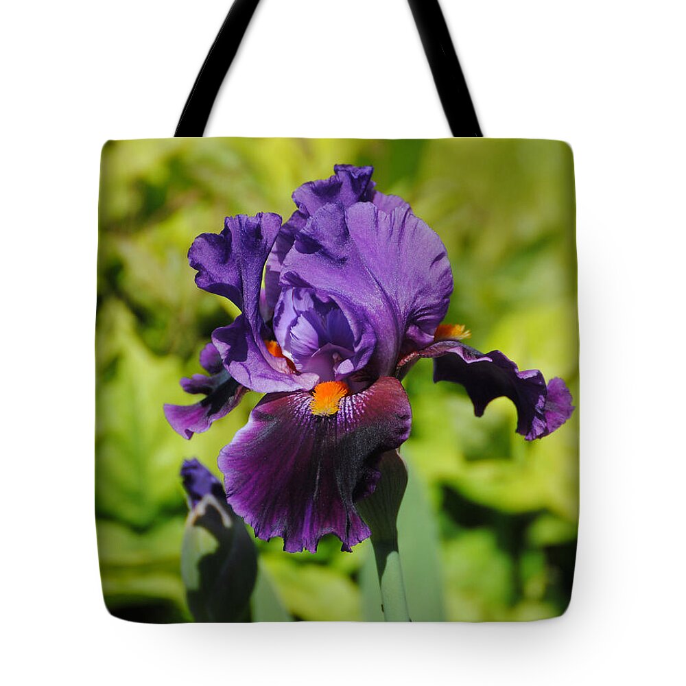 Beautiful Iris Tote Bag featuring the photograph Purple and Orange Iris Flower by Jai Johnson