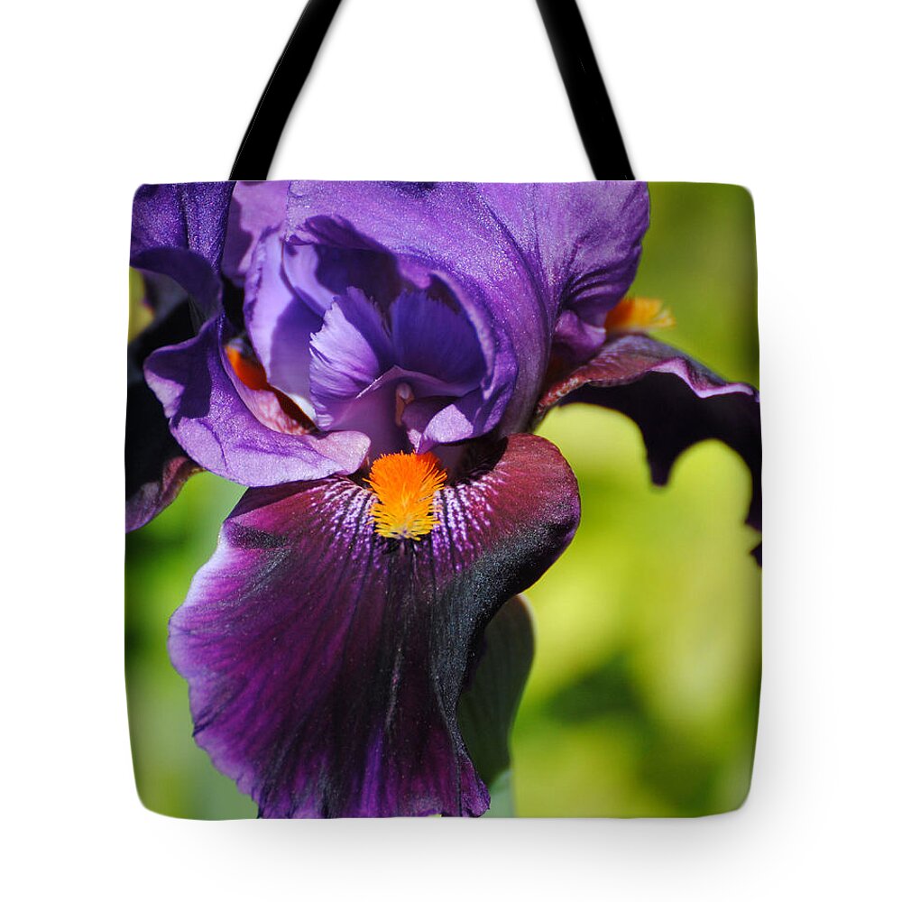 Beautiful Iris Tote Bag featuring the photograph Purple and Orange Iris II by Jai Johnson