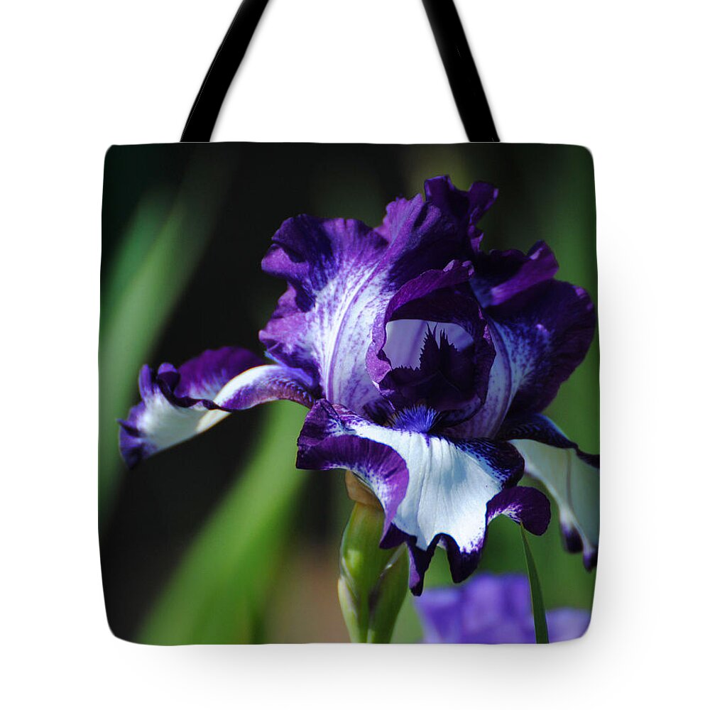 Beautiful Tote Bag featuring the photograph Purple and White Iris by Jai Johnson