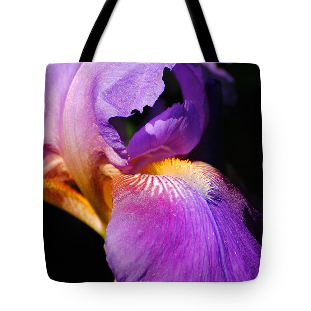Beautiful Iris Tote Bag featuring the photograph Purple and Yellow Iris Close Up II by Jai Johnson